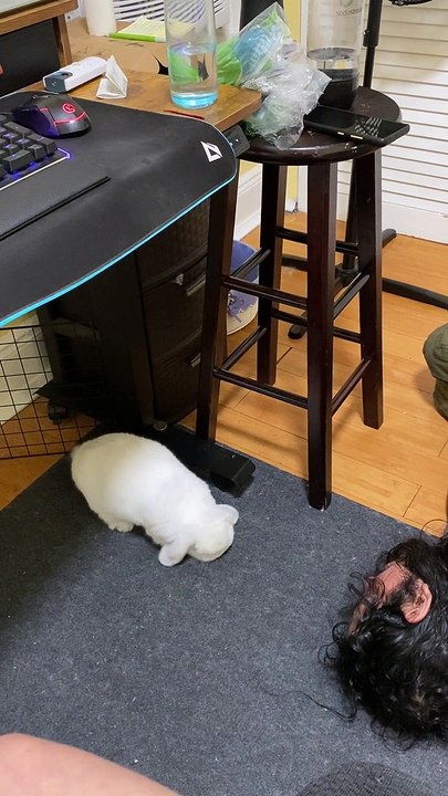 Dig-Dig-Dig FLOP