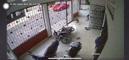 Cat Topples Motorbike Onto Dog