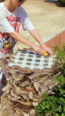 Super Helpful And Crafty Ideas To Uplift Your Neighbourhood