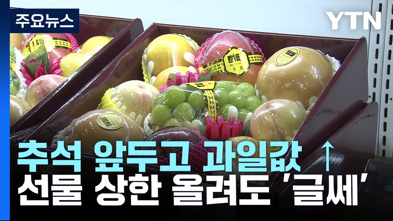 추석 앞두고 치솟는 과일값...선물 상한액 올려도 '글쎄' / YTN