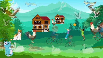 Video animasi - padang rumput - hewan