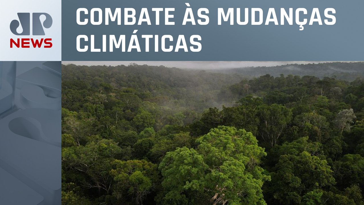 Ministério do Meio Ambiente e BNDES relançam Fu...