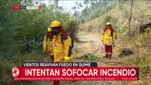 La Paz: Incendio forestal en Quime consumió más de 120 hectáreas 