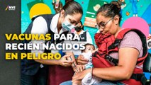ESCASEZ DE VACUNAS contra la TUBERCULOSIS: Advierte el sistema de salud en México