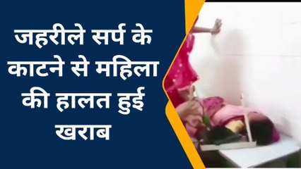 बंदा: महिला के पैर में जहरीले सांप ने काटा, हालत हुई खराब