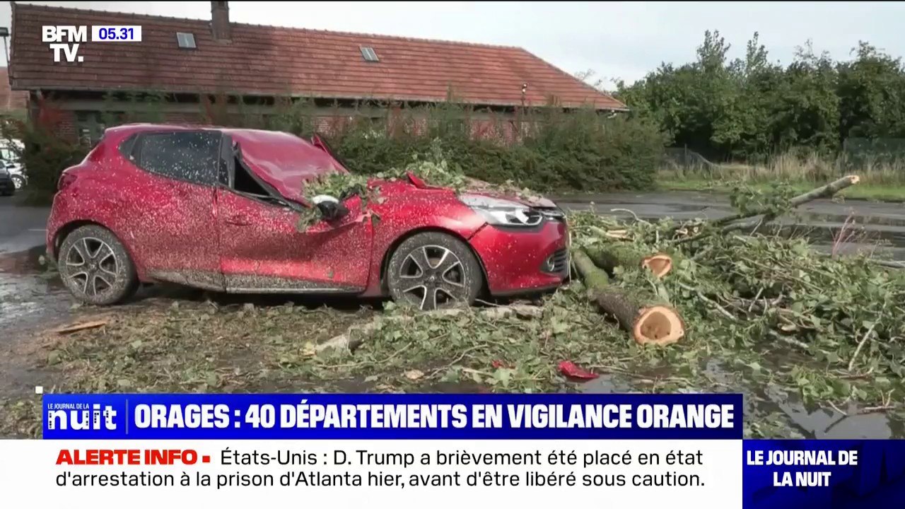 Voitures écrasées par des arbres, coulées de boue... les images des dégâts après les orages