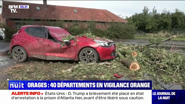 Voitures écrasées par des arbres, coulées de boue... les images des dégâts après les orages