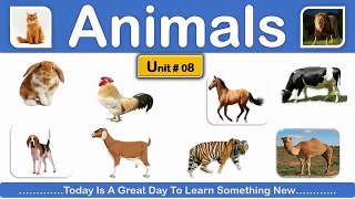 Animals_Name___Learn_Animals_Name_in_English___Animals_Name_Basic_English_Learning__%5BUnit_%23_08%5D(360p)