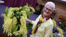 Spring Orchid Show at the Taree Uniting Church 25.08.23