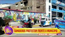 Puno: Ganaderos protestan junto con sus vaquitas frente al municipio de San Román