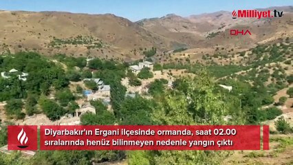 Diyarbakır'da orman yangını! Ekipler bölgede