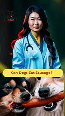 Can Dogs Eat Sausage | Dog Food Review | Zudaan