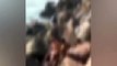 Kadıköy sahilinde ulu orta ilişkiye giren 2 erkeğin görüntüleri infial yarattı: Dayı ayıp değil mi?