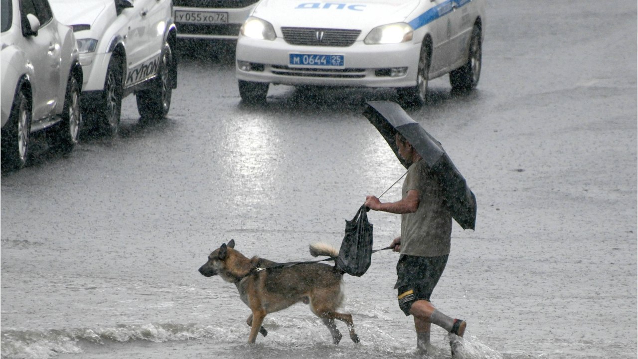 Verletzte bei schwerem Gewitter: Wetterdienst gibt Warnung für Freitag heraus