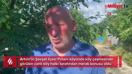 Köy çeşmesinde görülen canlı şaşkına çevirdi: Ne başı belli ne sonu
