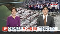 일본 오염수 방류 뒤 첫 수산물 경매…고등어 경매가 20% 하락
