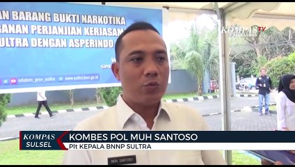 Bnnp Sultra Musnahkan 3,8 Kg Sabu Dan Ganja