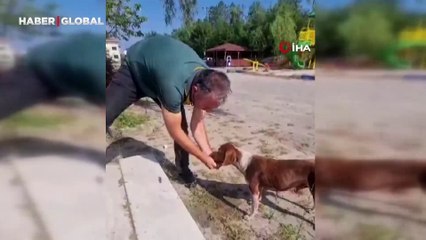Su aradığını fark etti: Sıcaktan bunalan köpeğe elleriyle su içirdi