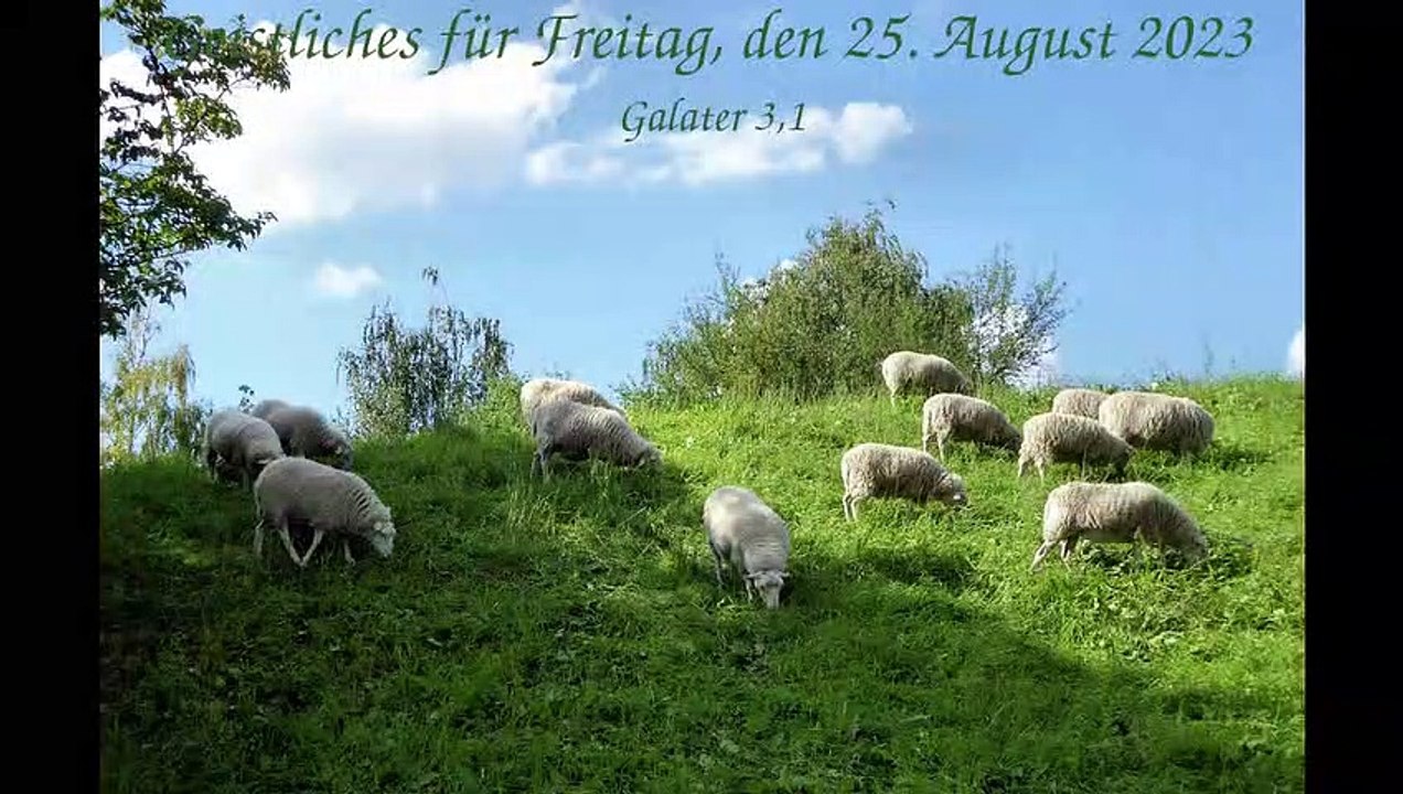 Geistliches für Freitag, den 25. August 2023