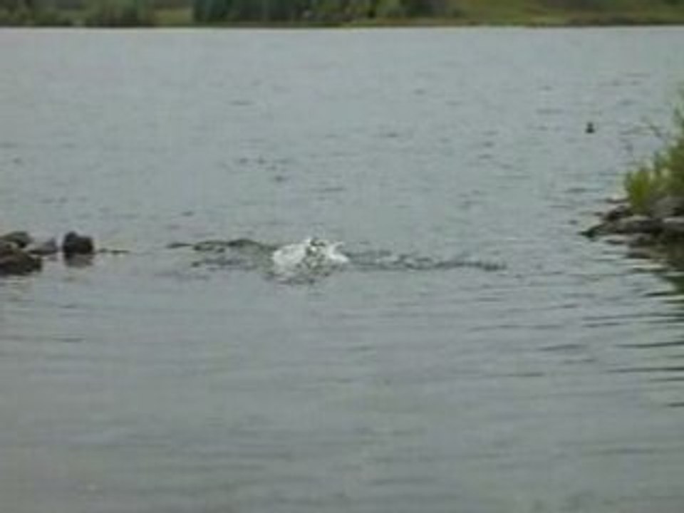 S5000107