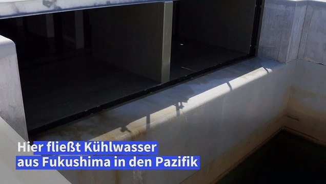 Japan leitet Wasser aus Akw Fukushima in den Pazifik