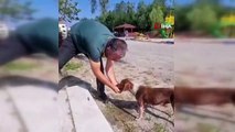 Hayvansever vatandaş sıcaktan bunalan köpeğe su içirdi