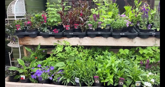 Watch as we visit Adam's Happy Hens in Chesterfield to meet their goats, pigs, horses and even emus!