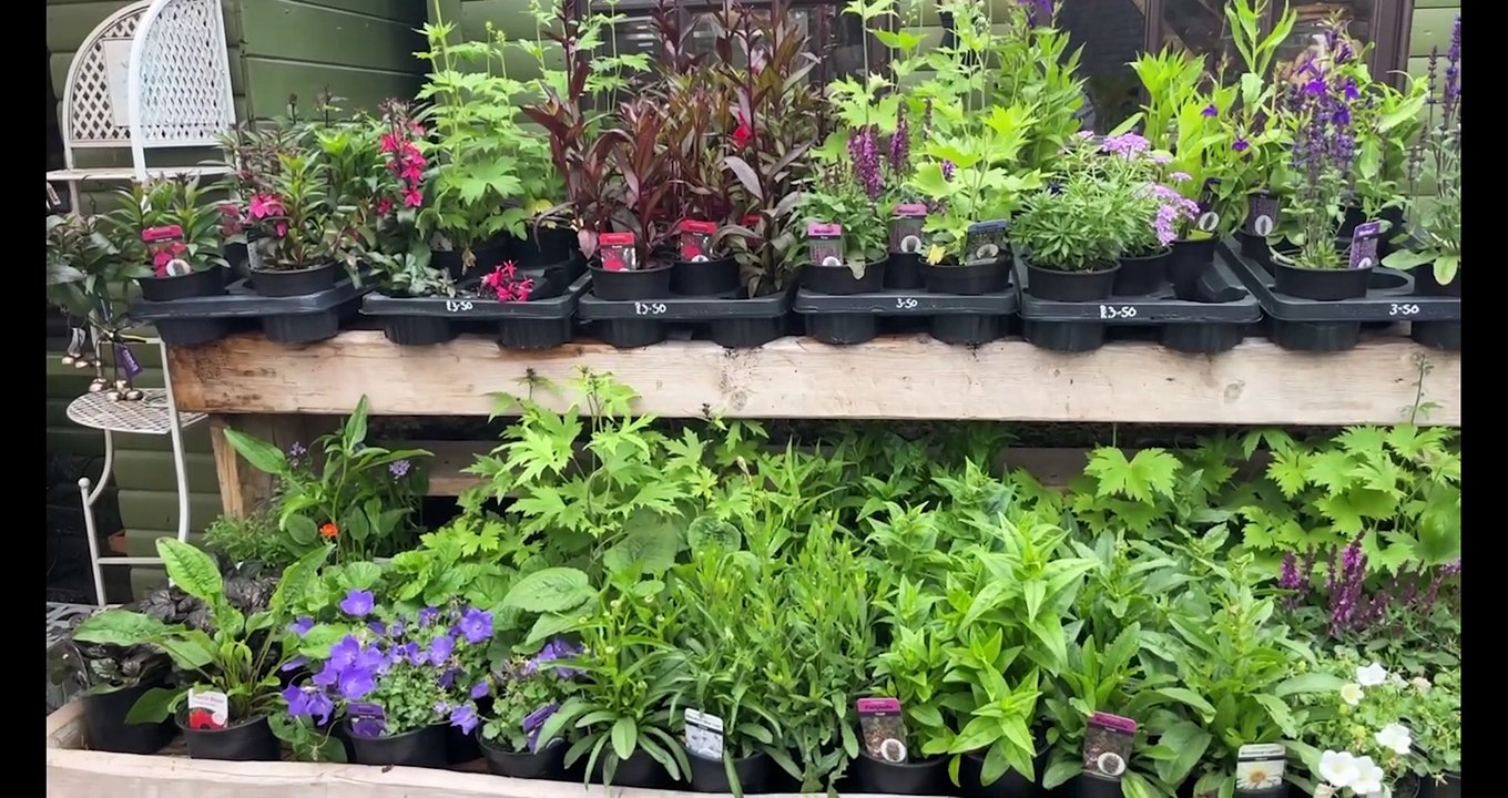 Watch as we visit Adam's Happy Hens in Chesterfield to meet their goats, pigs, horses and even emus!