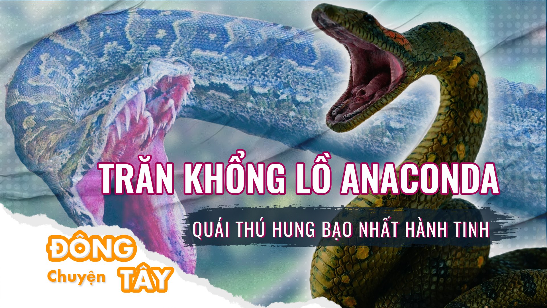 Trăn khổng lồ Anaconda: Quái thú hung bạo nhất hành tinh