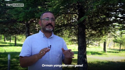 Geçmeyen tehdit: Orman yangınları