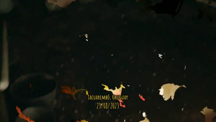 Lluvia y granizo durante unos pocos minutos, Tacuarembó, Uruguay (23/08/2023)