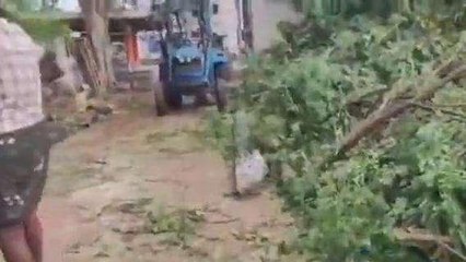 అనకాపల్లి జిల్లా: భారీ వర్షం... విరిగిపడిన విద్యుత్ స్తంభాలు