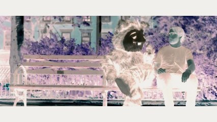 American Authors - Best Day Of My Life in G Major