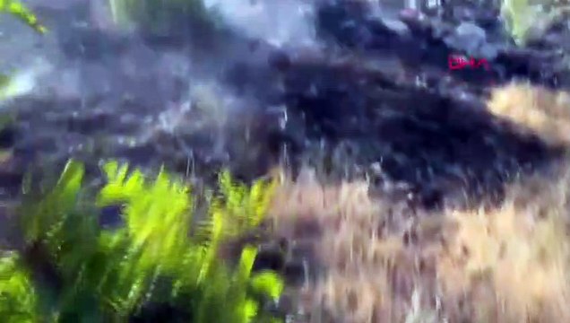 L'incendie dans le quartier Ergani de Diyarbakır a été maîtrisé