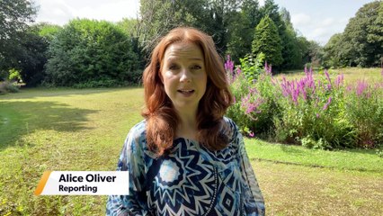 Difficulty seeing the dentist? People in England struggle to get appointments