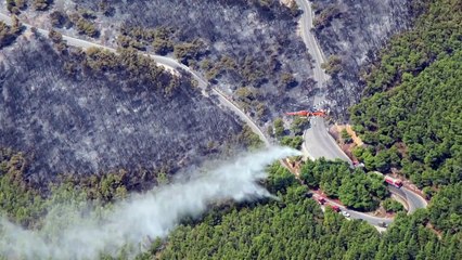 عمليات مكافحة الحرائق تتواصل في جبل بارنيثا قرب أثينا