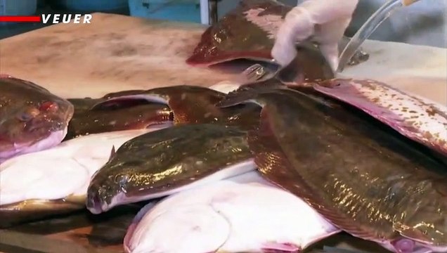 Japan Releasing Treated Fukushima Nuclear Disaster Wastewater Into Ocean