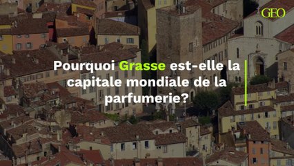 Grasse : pourquoi est-elle la capitale mondiale de la parfumerie ?