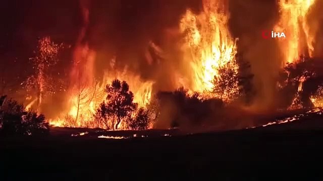 L'affirmation selon laquelle le maire de Çanakkale, Ülgür Gökhan, serait parti en vacances à l'étranger le jour de l'incendie a ébranlé l'ordre du jour.