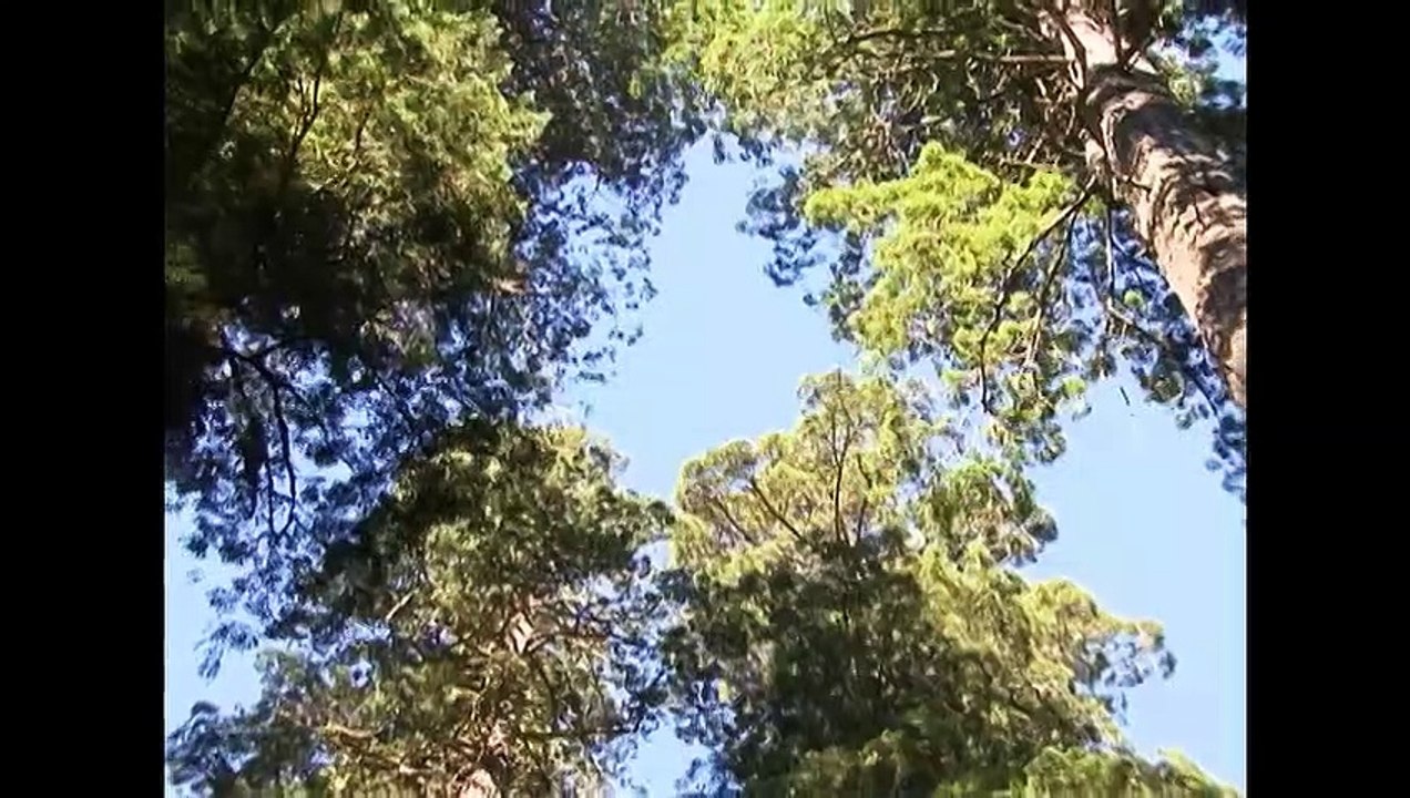 America's Serial Killers Portraits in Evil Season 1 Episode 7 - The Hillside Stranglers and the Beltway Snipers