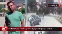 Kastamonu'da sokak köpekleri 6 yaşındaki çocuğa saldırdı