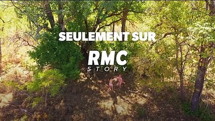 Retour à l'instinct primaire - 26 août