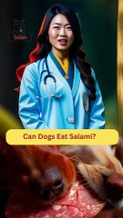 Can Dogs Eat Salami? Dog Food Reviews