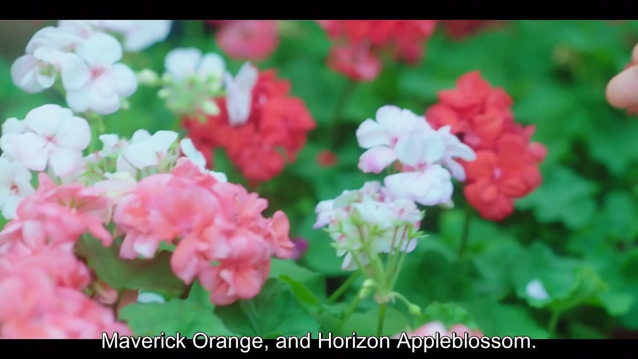 Destined With You ep 2 eng sub - video Dailymotion