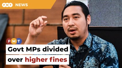 Govt MPs split on higher fines for unparliamentary language