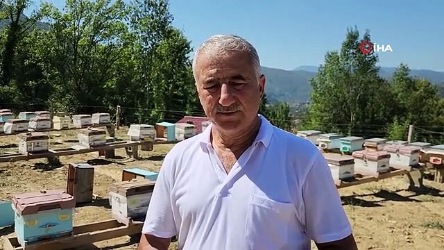36 yıllık ilçenin ilk coğrafi işaretli ürünü 'Yenice Ihlamur Balı' oldu