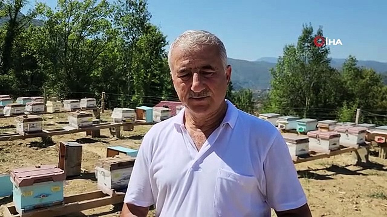 36 yıllık ilçenin ilk coğrafi işaretli ürünü 'Yenice Ihlamur Balı' oldu