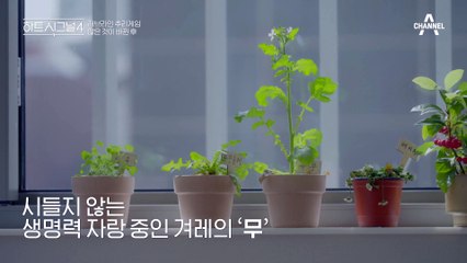 여행을 기점으로 생각이 바뀌었다는 지영! 겨레에 대한 마음을 떠보는 민규