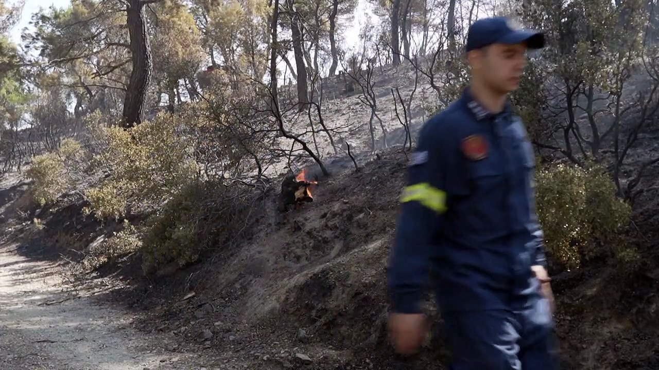 Brände in Griechenland: Zahl der Toten steigt auf mindestens 21
