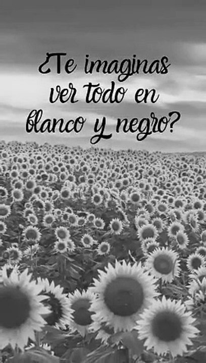 BLANCO O NEGRO...
